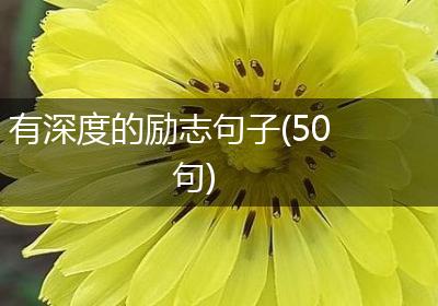 有深度的励志句子(50句)