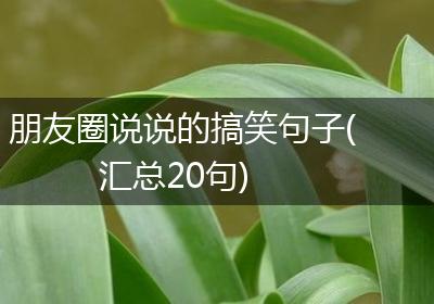 朋友圈说说的搞笑句子(汇总20句)