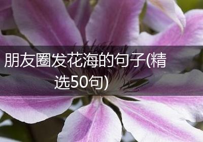 朋友圈发花海的句子(精选50句)