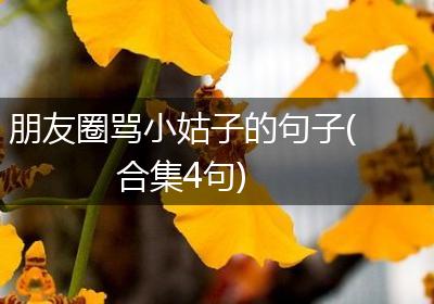 朋友圈骂小姑子的句子(合集4句)