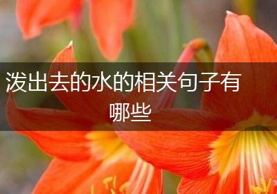 泼出去的水的相关句子有哪些