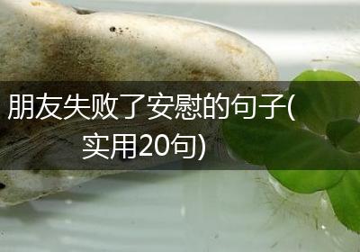 朋友失败了安慰的句子(实用20句)