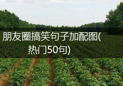 朋友圈搞笑句子加配图(热门50句)