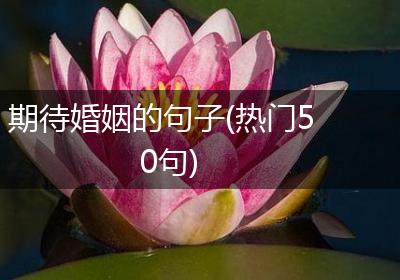 期待婚姻的句子(热门50句)