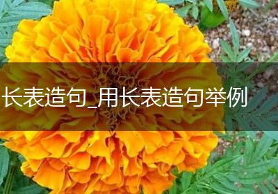 长表造句_用长表造句举例