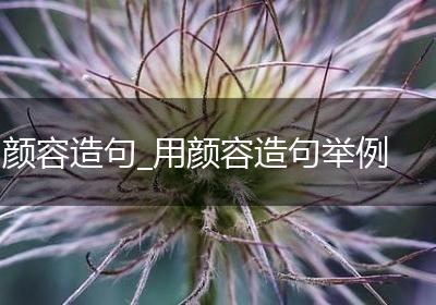 颜容造句_用颜容造句举例