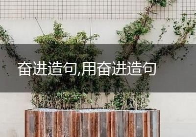 奋进造句,用奋进造句