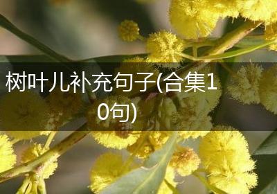 树叶儿补充句子(合集10句)