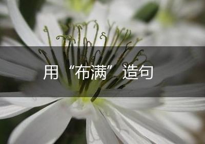 用“布满”造句