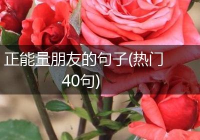 正能量朋友的句子(热门40句)