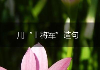 用“上将军”造句