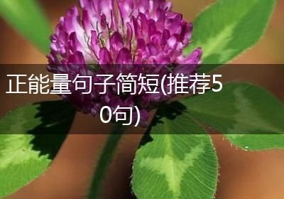 正能量句子简短(推荐50句)