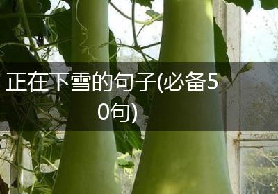 正在下雪的句子(必备50句)