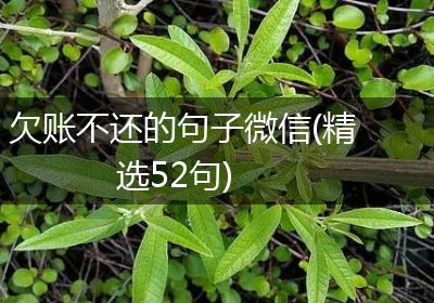 欠账不还的句子微信(精选52句)