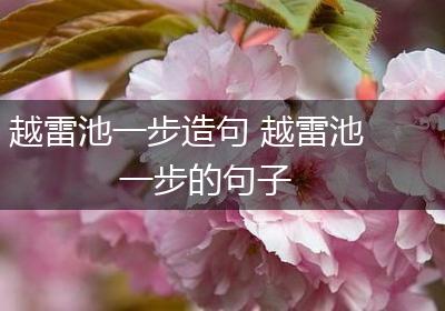 越雷池一步造句 越雷池一步的句子