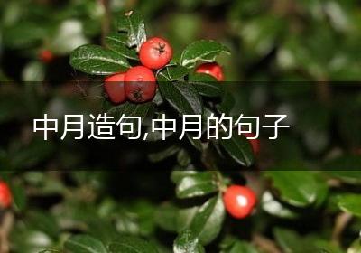 中月造句,中月的句子