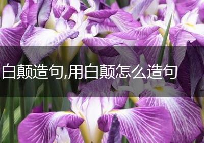 白颠造句,用白颠怎么造句