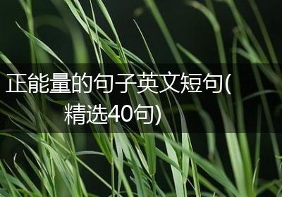 正能量的句子英文短句(精选40句)