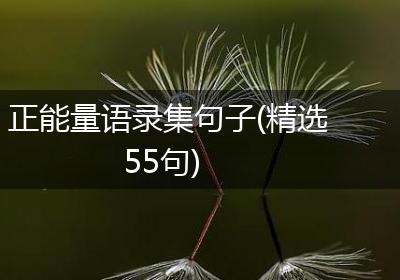 正能量语录集句子(精选55句)
