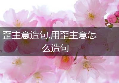 歪主意造句,用歪主意怎么造句