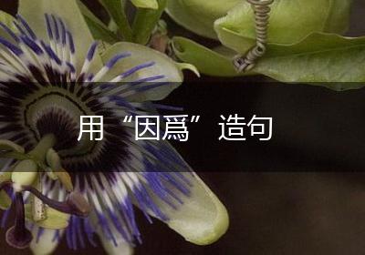 用“因爲”造句