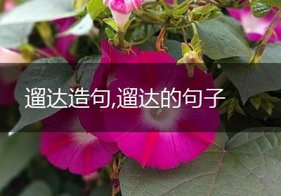 遛达造句,遛达的句子
