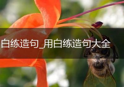 白练造句_用白练造句大全