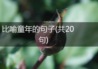 比喻童年的句子(共20句)