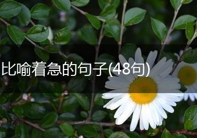比喻着急的句子(48句)