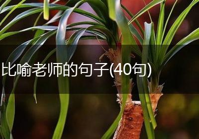 比喻老师的句子(40句)