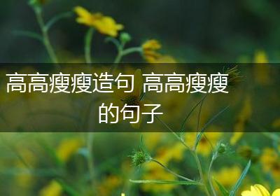 高高瘦瘦造句 高高瘦瘦的句子