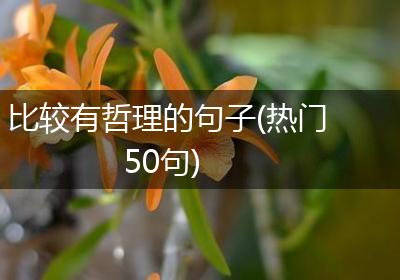比较有哲理的句子(热门50句)