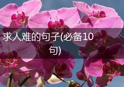 求人难的句子(必备10句)