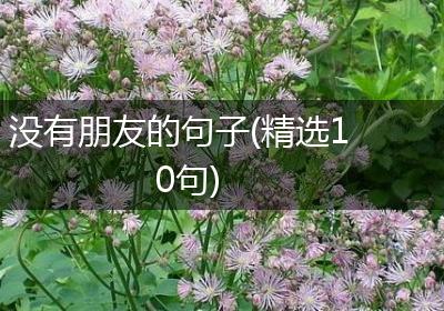 没有朋友的句子(精选10句)