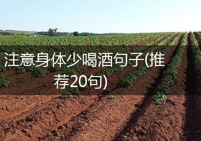 注意身体少喝酒句子(推荐20句)