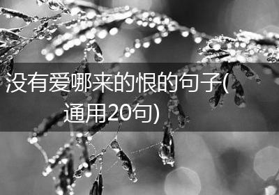 没有爱哪来的恨的句子(通用20句)