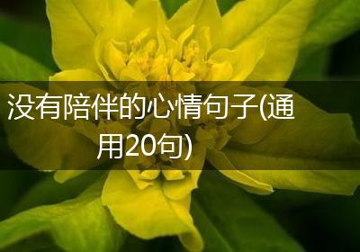 没有陪伴的心情句子(通用20句)