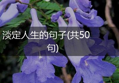 淡定人生的句子(共50句)