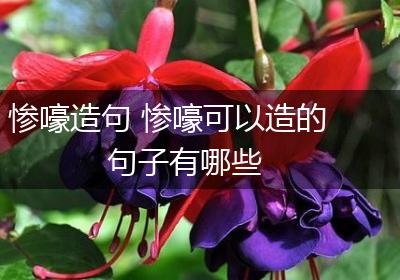 惨嚎造句 惨嚎可以造的句子有哪些