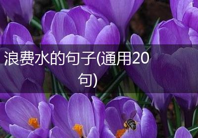 浪费水的句子(通用20句)