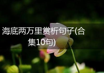 海底两万里赏析句子(合集10句)
