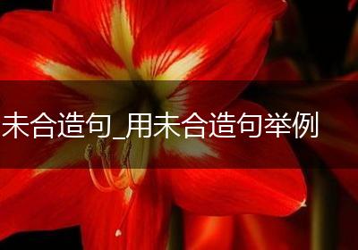 未合造句_用未合造句举例