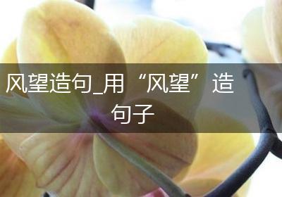 风望造句_用“风望”造句子