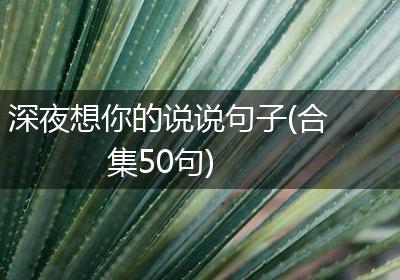 深夜想你的说说句子(合集50句)