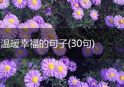 温暖幸福的句子(30句)