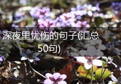深夜里忧伤的句子(汇总50句)