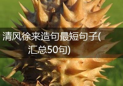 清风徐来造句最短句子(汇总50句)