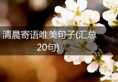 清晨寄语唯美句子(汇总20句)