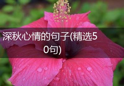 深秋心情的句子(精选50句)