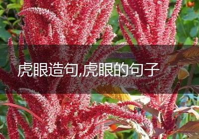 虎眼造句,虎眼的句子